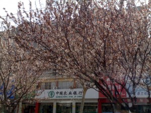 41s7_20060330111 41s7_20060330111