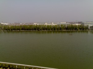 63u9_20060330142 63u9_20060330142