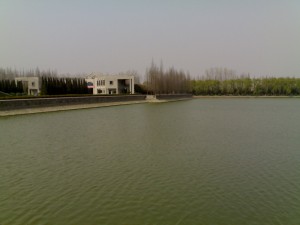 kh0o_20060330151 kh0o_20060330151