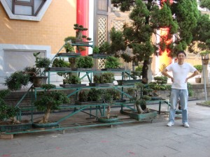 vskz_dsc00827 vskz_dsc00827